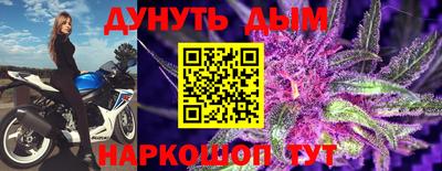 индика Усть-Джегута