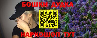 индика Усть-Джегута