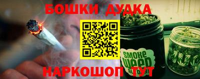 индика Усть-Джегута