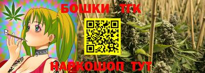 индика Усть-Джегута
