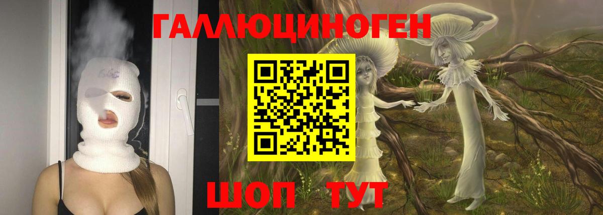 Бийск  Галлюциногенные грибы прущие грибы  Вход с VPN  Псилоцибиновые грибы мухоморы 